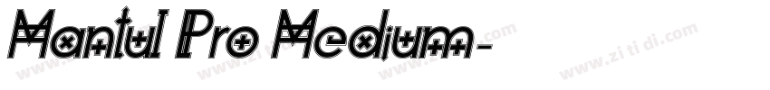 Mantul Pro Medium字体转换